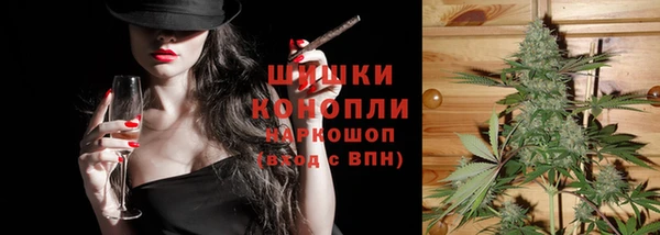 ГАЛЛЮЦИНОГЕННЫЕ ГРИБЫ Горняк