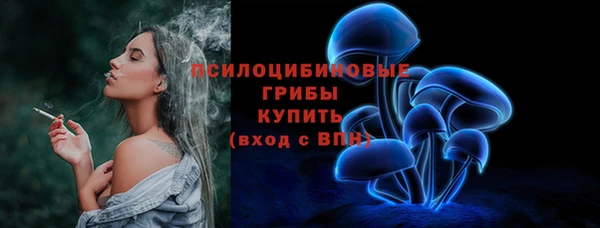 ГАЛЛЮЦИНОГЕННЫЕ ГРИБЫ Горняк