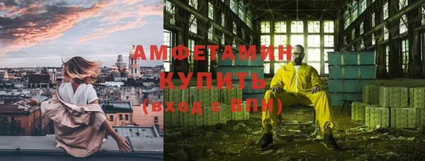 ГАЛЛЮЦИНОГЕННЫЕ ГРИБЫ Горняк