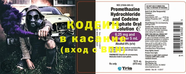 ГАЛЛЮЦИНОГЕННЫЕ ГРИБЫ Вяземский
