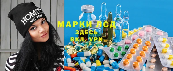 ГАЛЛЮЦИНОГЕННЫЕ ГРИБЫ Вяземский