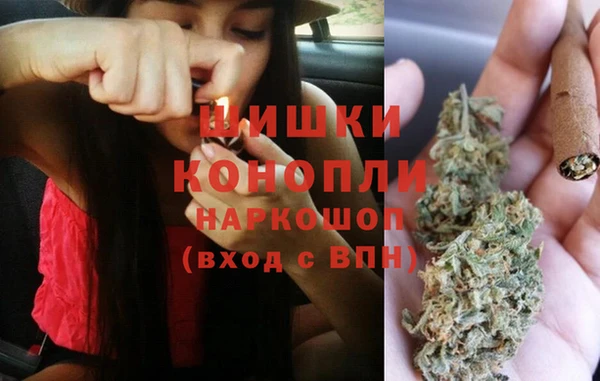 ГАЛЛЮЦИНОГЕННЫЕ ГРИБЫ Горняк