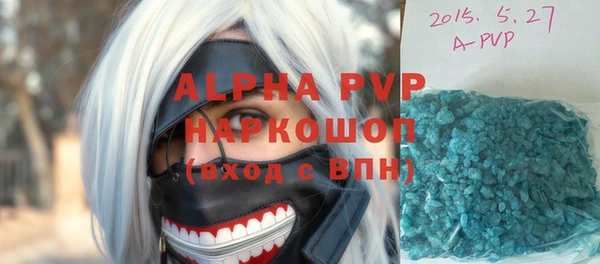ГАЛЛЮЦИНОГЕННЫЕ ГРИБЫ Вяземский