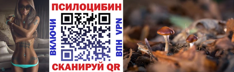 Псилоцибиновые грибы GOLDEN TEACHER  Купить закладки  Заозёрск 